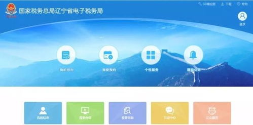 遼寧省電子稅務局官方版